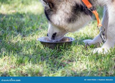 技术驱动财富 网游技术开发如何助力创业者在电子产业中突破瓶颈